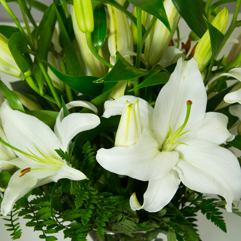 Bouquet de Lys Oriental blanc – LES ANNÉES FLEURS